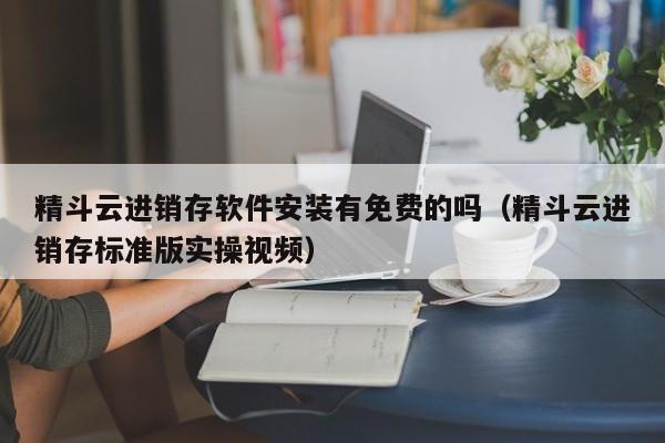 精斗云进销存软件安装有免费的吗（精斗云进销存标准版实操视频）