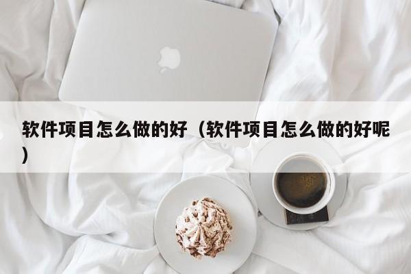 软件项目怎么做的好（软件项目怎么做的好呢）