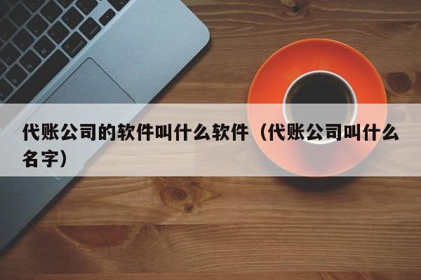 代账公司的软件叫什么软件（代账公司叫什么名字）