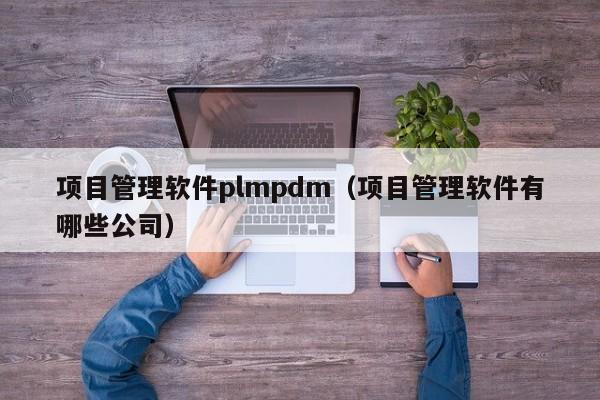 项目管理软件plmpdm（项目管理软件有哪些公司）