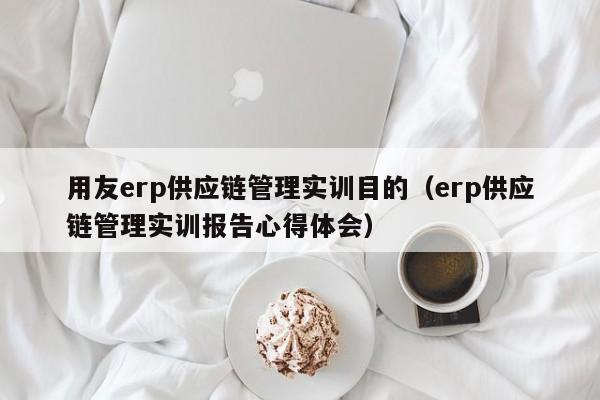 用友erp供应链管理实训目的（erp供应链管理实训报告心得体会）