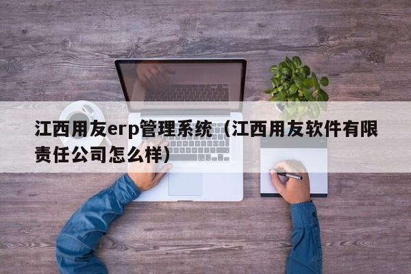 江西用友erp管理系统（江西用友软件有限责任公司怎么样）