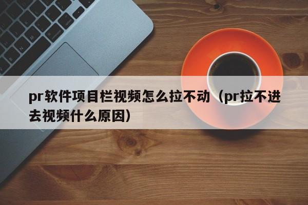 pr软件项目栏视频怎么拉不动（pr拉不进去视频什么原因）