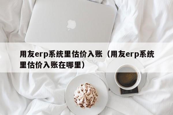 用友erp系统里估价入账（用友erp系统里估价入账在哪里）