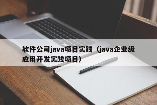 软件公司java项目实践（java企业级应用开发实践项目）