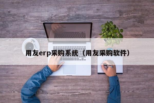 用友erp采购系统（用友采购软件）