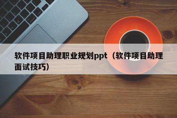 软件项目助理职业规划ppt（软件项目助理面试技巧）