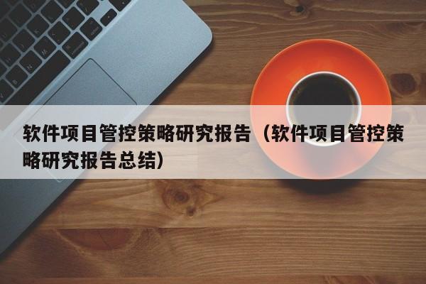 软件项目管控策略研究报告（软件项目管控策略研究报告总结）