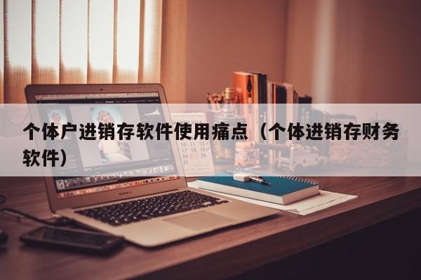 个体户进销存软件使用痛点（个体进销存财务软件）