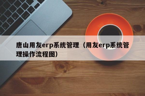 唐山用友erp系统管理（用友erp系统管理操作流程图）