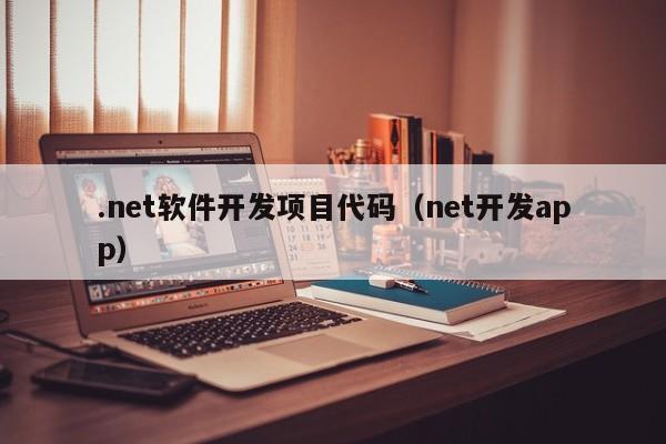 .net软件开发项目代码（net开发app）