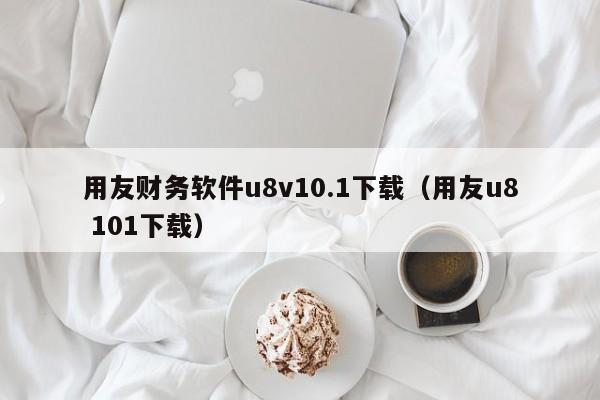 用友财务软件u8v10.1下载（用友u8 101下载）