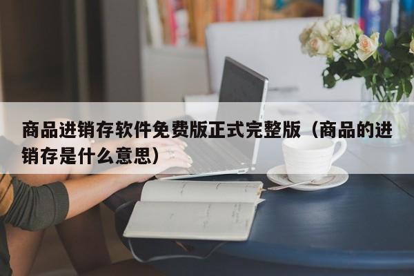 商品进销存软件免费版正式完整版（商品的进销存是什么意思）