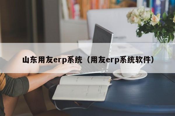 山东用友erp系统（用友erp系统软件）