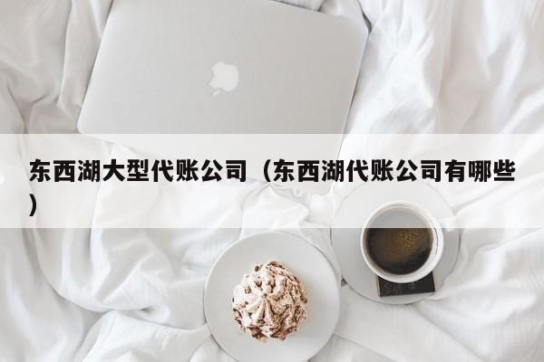 东西湖大型代账公司（东西湖代账公司有哪些）