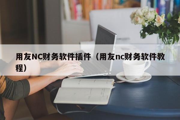 用友NC财务软件插件（用友nc财务软件教程）