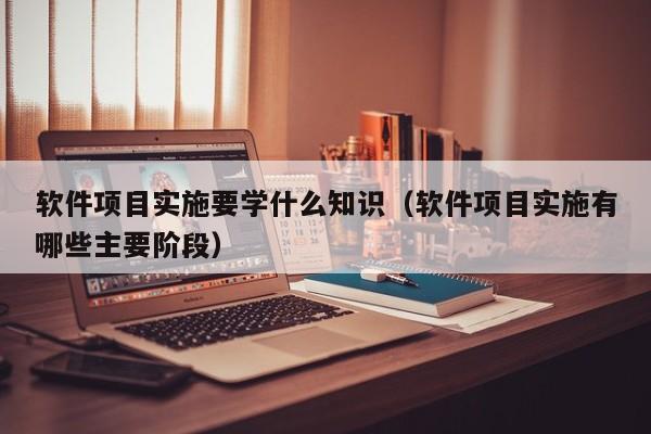 软件项目实施要学什么知识（软件项目实施有哪些主要阶段）