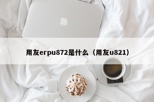 用友erpu872是什么（用友u821）