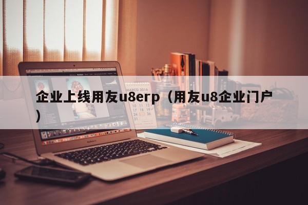 企业上线用友u8erp（用友u8企业门户）