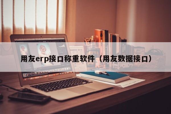 用友erp接口称重软件（用友数据接口）