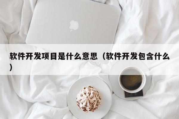 软件开发项目是什么意思（软件开发包含什么）