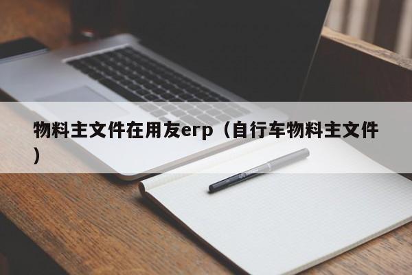 物料主文件在用友erp（自行车物料主文件）