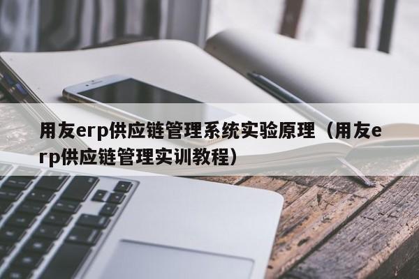 用友erp供应链管理系统实验原理（用友erp供应链管理实训教程）