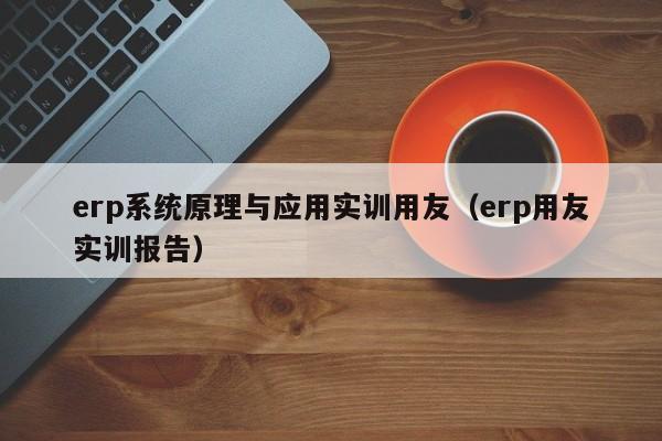 erp系统原理与应用实训用友（erp用友实训报告）