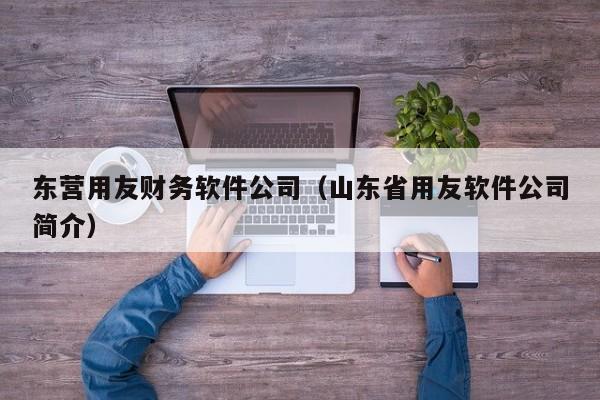 东营用友财务软件公司（山东省用友软件公司简介）