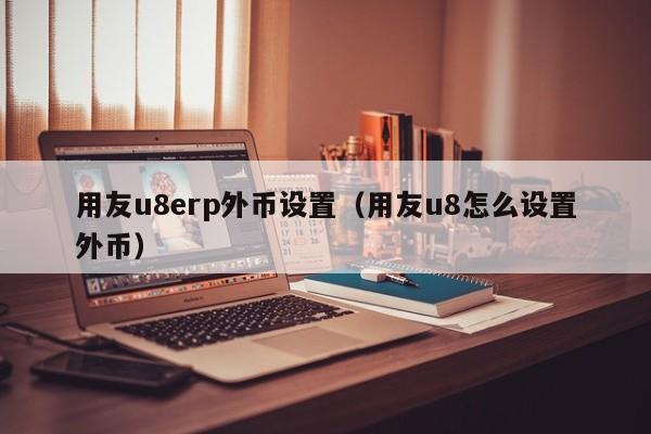 用友u8erp外币设置（用友u8怎么设置外币）