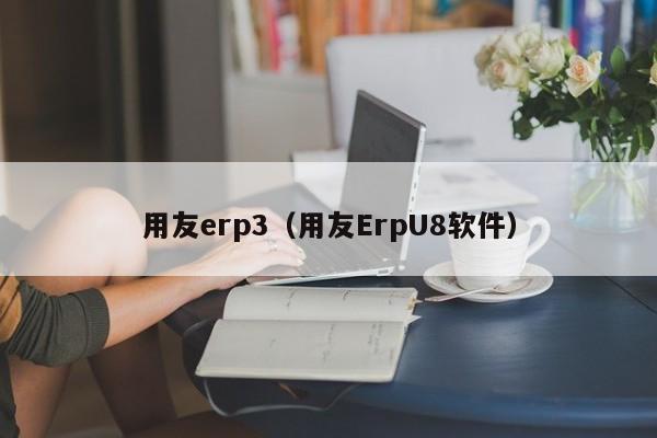 用友erp3（用友ErpU8软件）