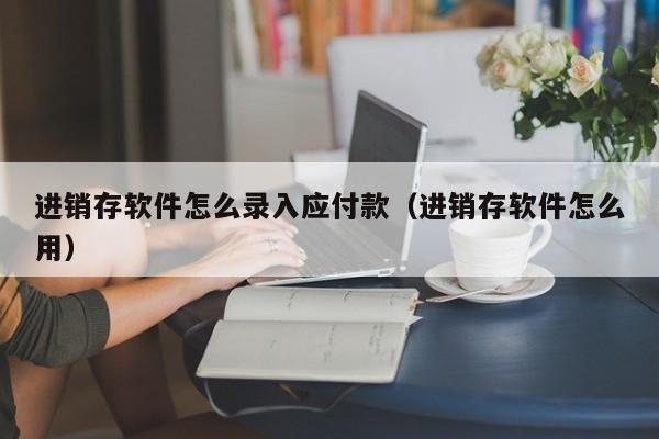 进销存软件怎么录入应付款（进销存软件怎么用）