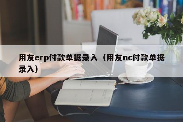 用友erp付款单据录入（用友nc付款单据录入）