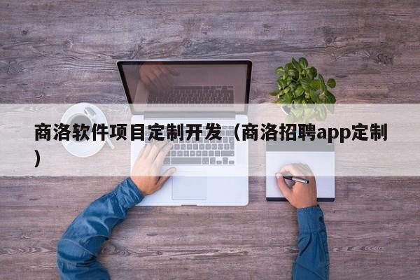 商洛软件项目定制开发（商洛招聘app定制）