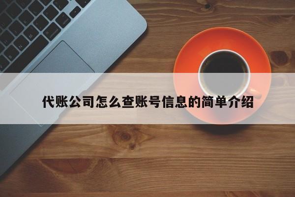 代账公司怎么查账号信息的简单介绍