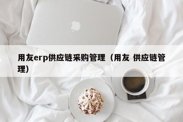 用友erp供应链采购管理（用友 供应链管理）