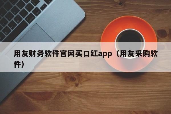 用友财务软件官网买口红app（用友采购软件）