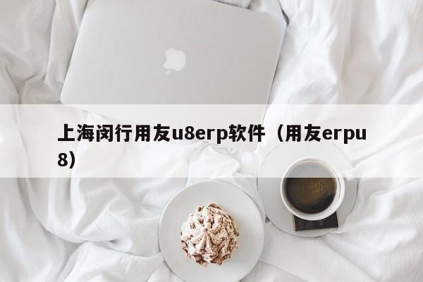 上海闵行用友u8erp软件（用友erpu8）