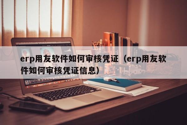 erp用友软件如何审核凭证（erp用友软件如何审核凭证信息）