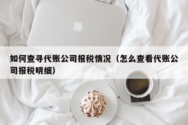 如何查寻代账公司报税情况（怎么查看代账公司报税明细）