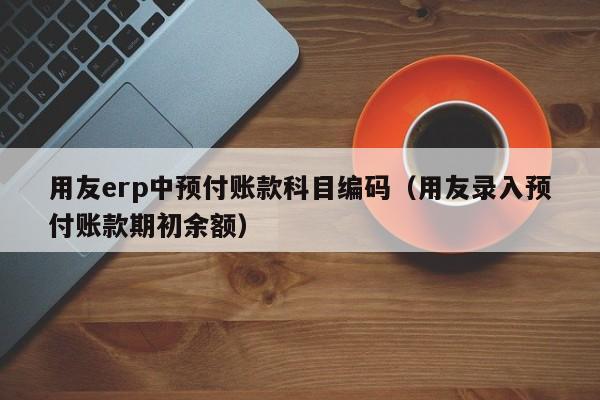 用友erp中预付账款科目编码（用友录入预付账款期初余额）