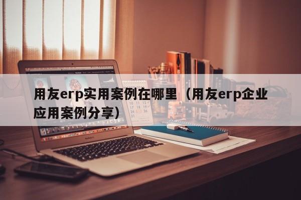 用友erp实用案例在哪里（用友erp企业应用案例分享）