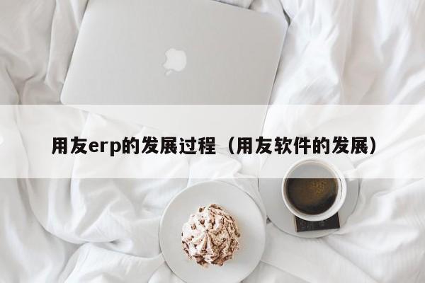 用友erp的发展过程（用友软件的发展）