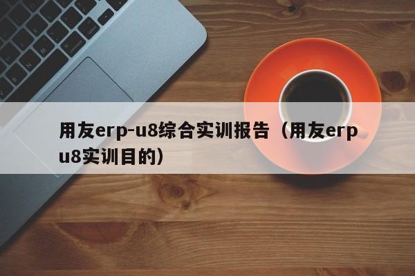 用友erp-u8综合实训报告（用友erpu8实训目的）