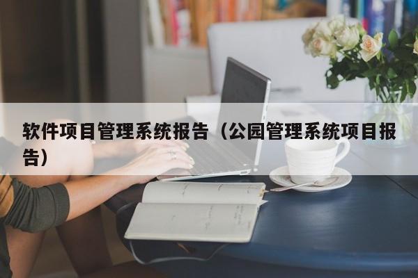 软件项目管理系统报告（公园管理系统项目报告）