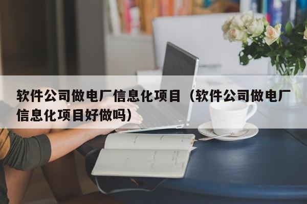 软件公司做电厂信息化项目（软件公司做电厂信息化项目好做吗）