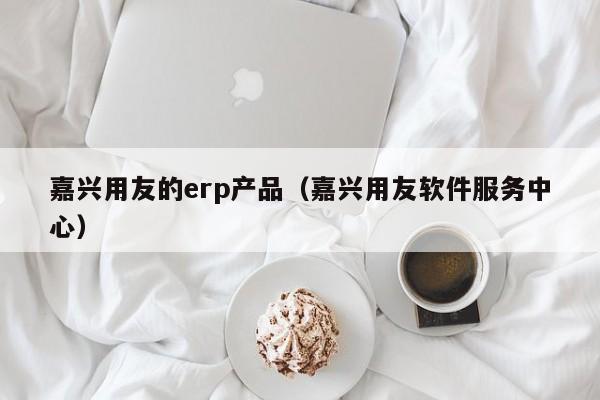 嘉兴用友的erp产品（嘉兴用友软件服务中心）