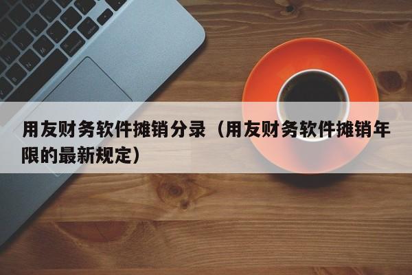 用友财务软件摊销分录（用友财务软件摊销年限的最新规定）