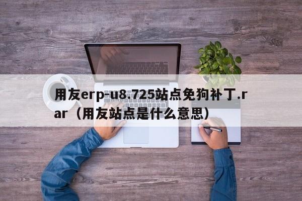 用友erp-u8.725站点免狗补丁.rar（用友站点是什么意思）