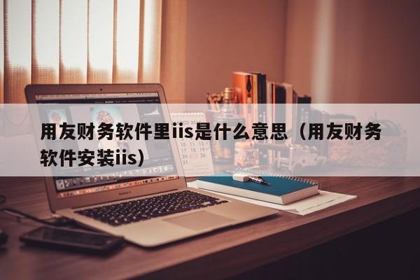 用友财务软件里iis是什么意思（用友财务软件安装iis）